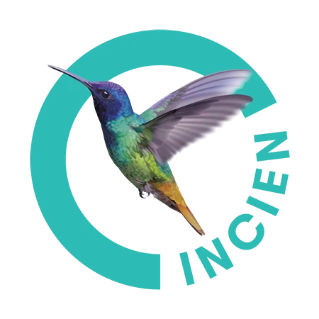Incien_logo_01_RGB_Symbol_Bird_Turquoise_(6)